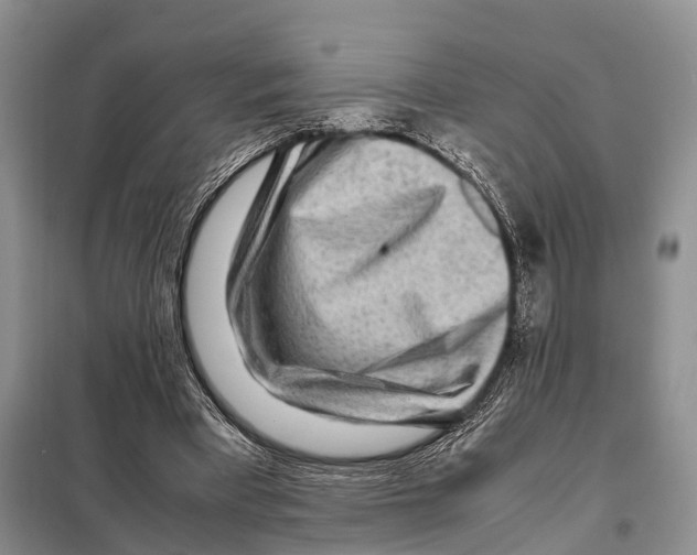 X0000097900393200804111050