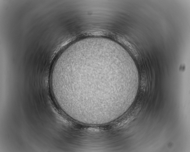 X0000097900394200804111050