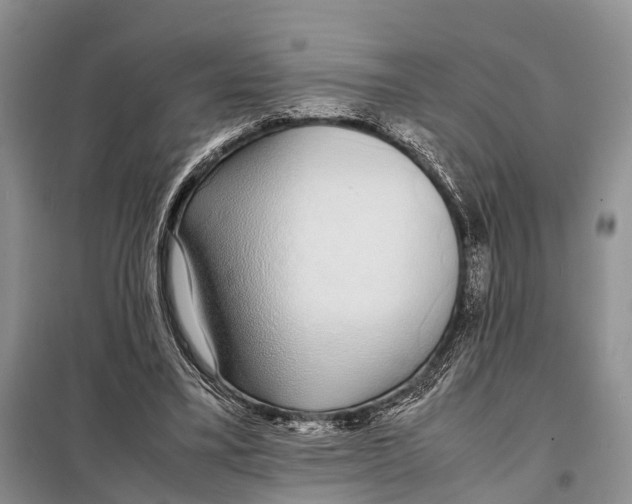 X0000097900395200804111050