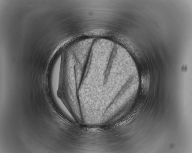 X0000097900396200804111050