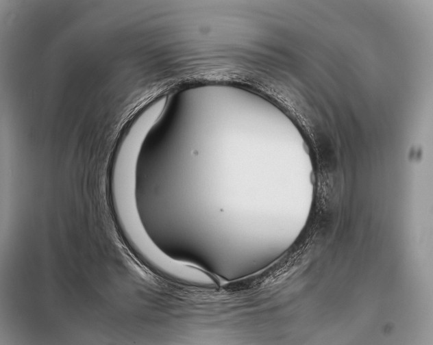 X0000097900397200804111050