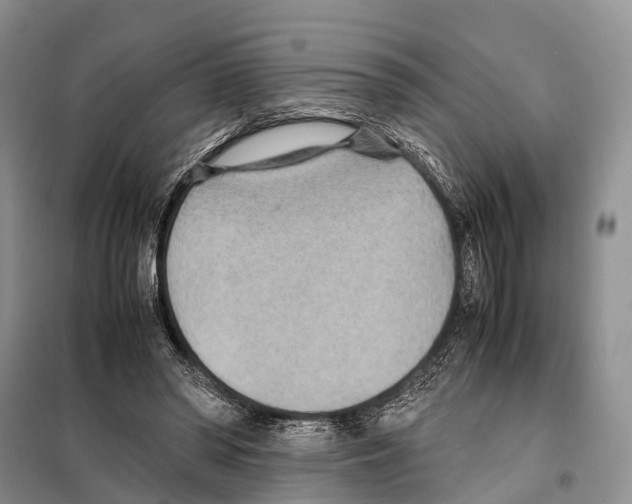 X0000097900398200804111050