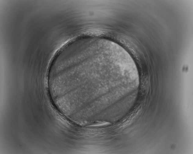 X0000097900399200804111050