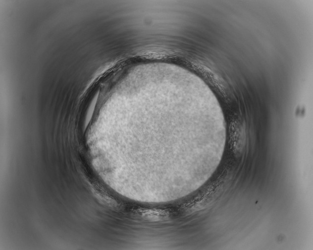 X0000097900400200804111050