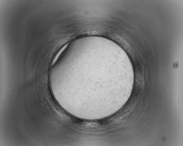 X0000097900401200804111050