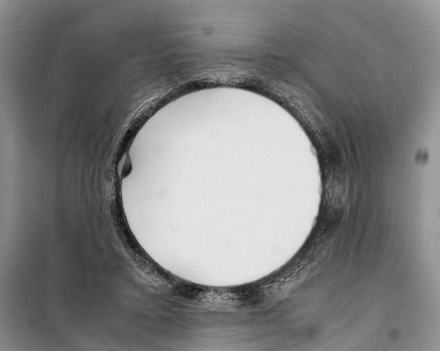 X0000097900403200804111050