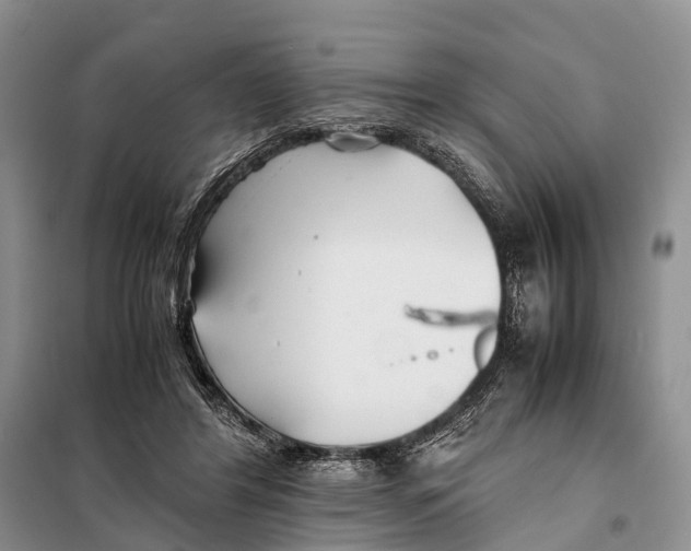 X0000097900404200804111050