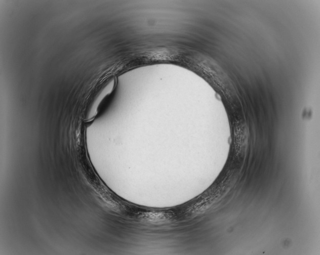 X0000097900406200804111050