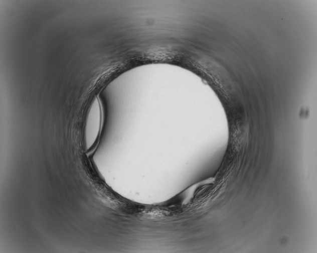 X0000097900407200804111050