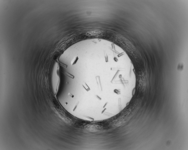 X0000097900408200804111050