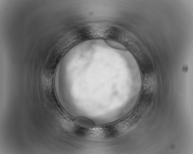 X0000097900409200804111050