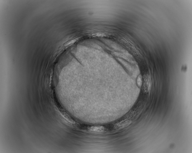 X0000097900410200804111050