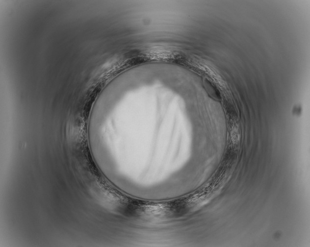 X0000097900411200804111050