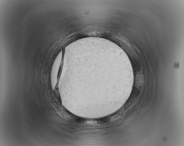 X0000097900413200804111050