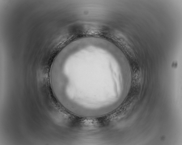 X0000097900415200804111050