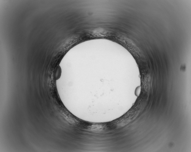 X0000097900418200804111050