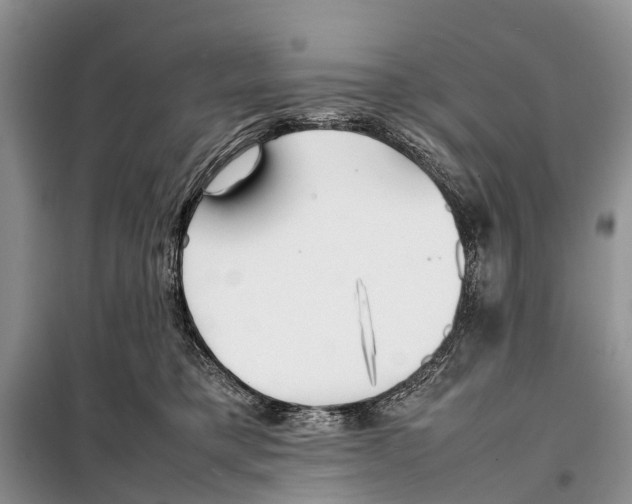 X0000097900421200804111050