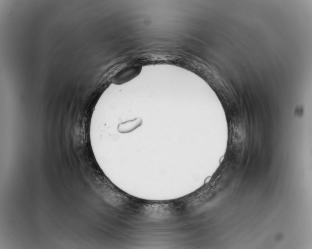 X0000097900422200804111050