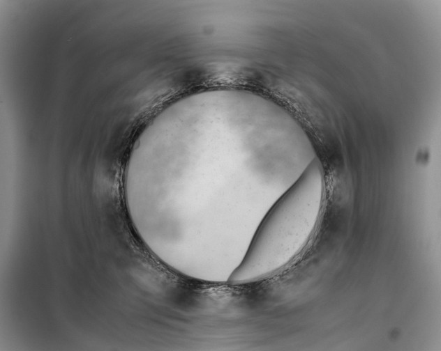 X0000097900423200804111050