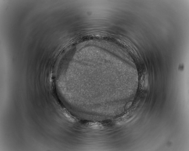 X0000097900424200804111050