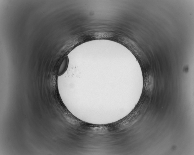 X0000097900426200804111050