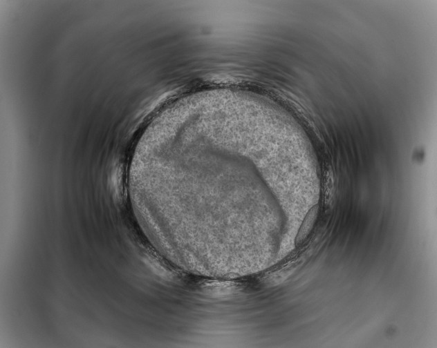 X0000097900428200804111050