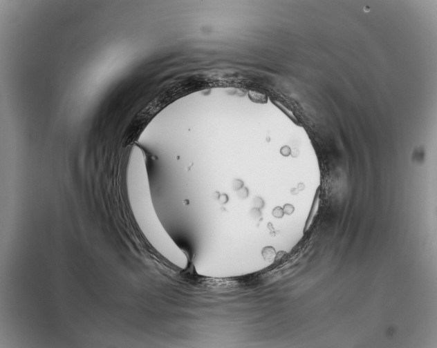 X0000097900429200804111050