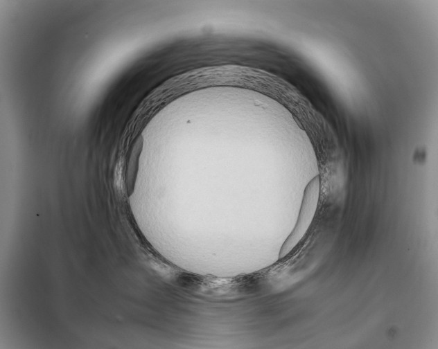 X0000097900431200804111050