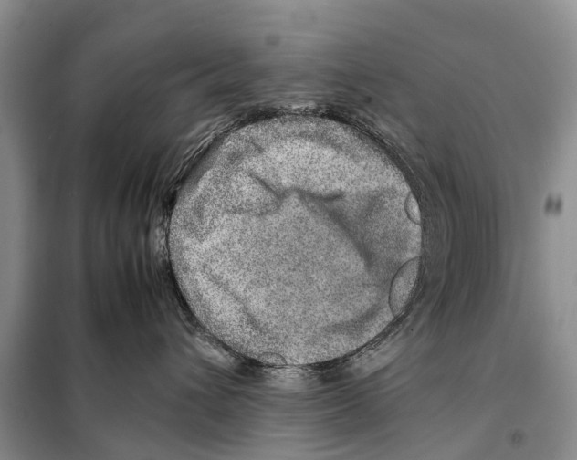 X0000097900432200804111050