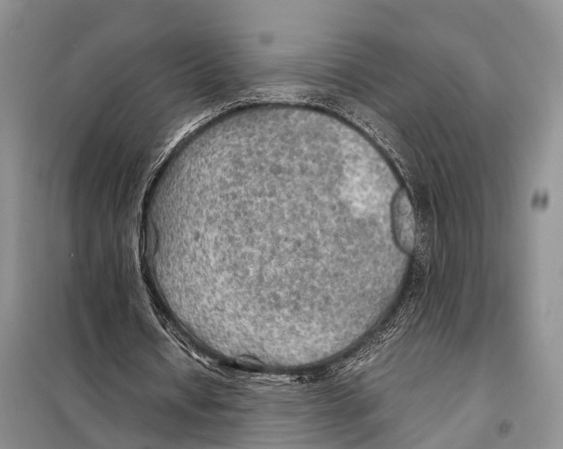 X0000097900434200804111049