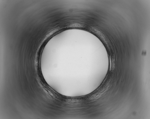 X0000097900435200804111049