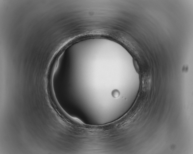 X0000097900436200804111049