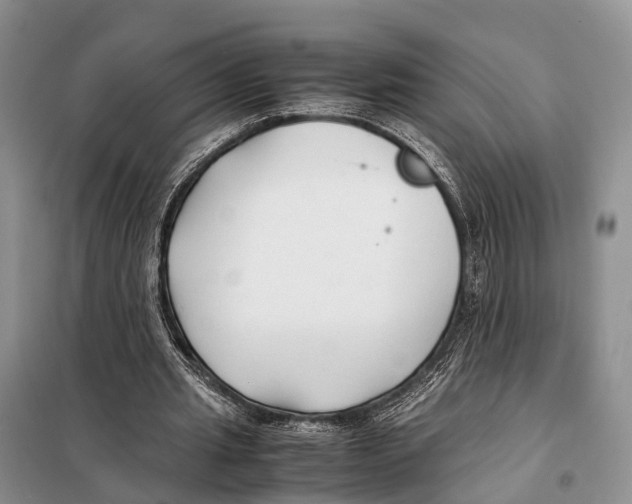 X0000097900437200804111049