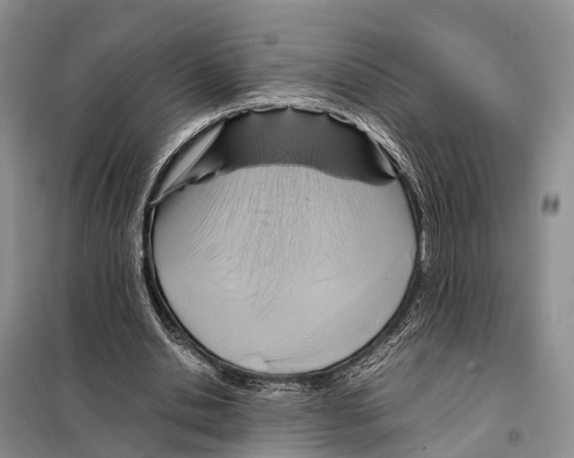 X0000097900438200804111049