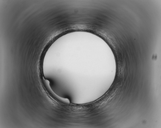 X0000097900439200804111049