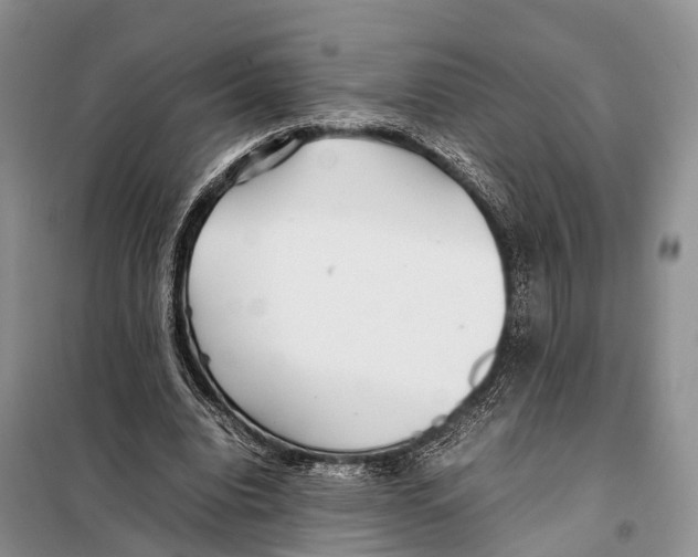 X0000097900440200804111049