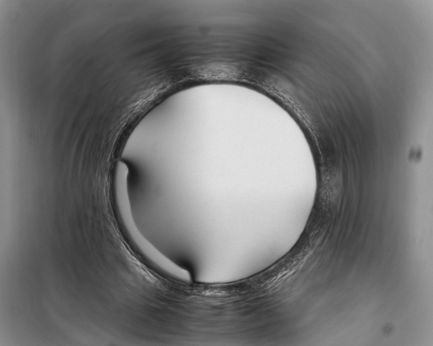 X0000097900441200804111049