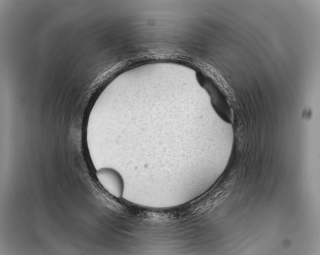 X0000097900442200804111049