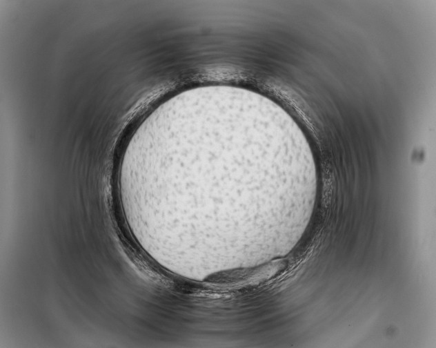 X0000097900443200804111049