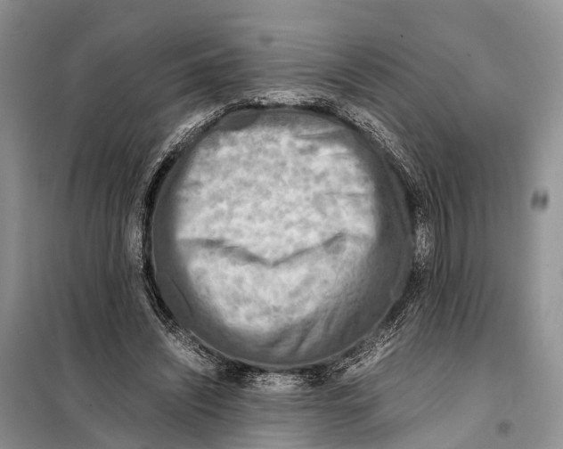 X0000097900444200804111049