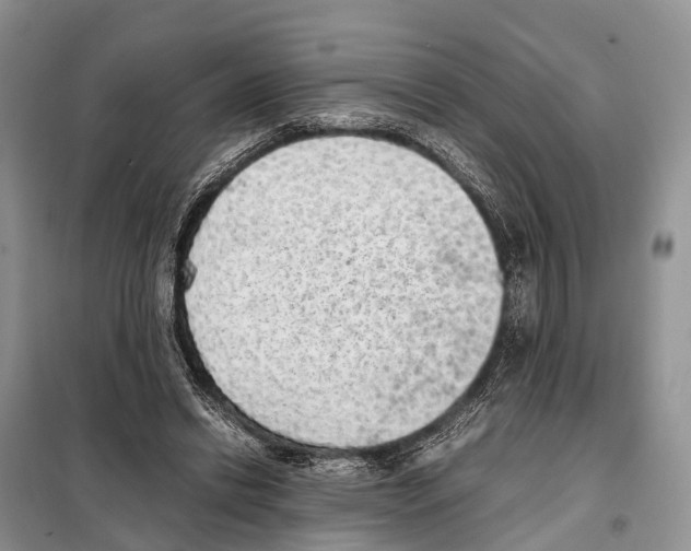 X0000097900446200804111049