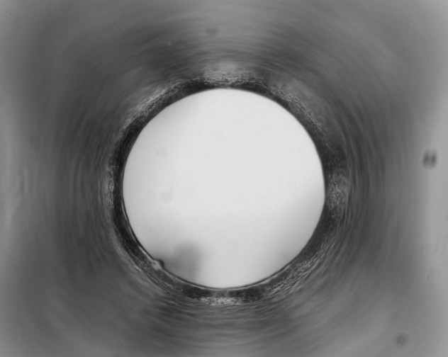 X0000097900448200804111049