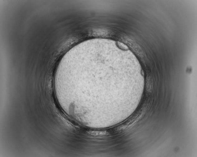 X0000097900449200804111049