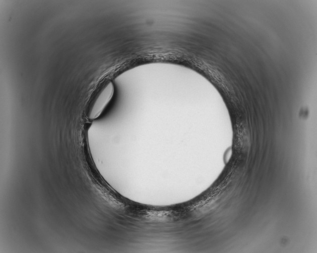 X0000097900450200804111049