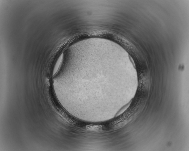 X0000097900452200804111049