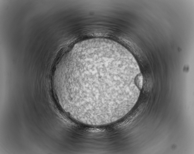 X0000097900453200804111049