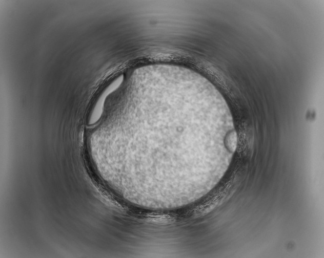 X0000097900454200804111049