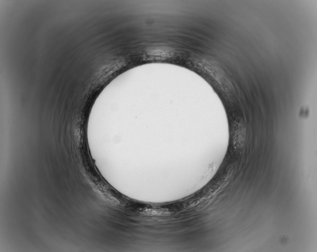 X0000097900455200804111049