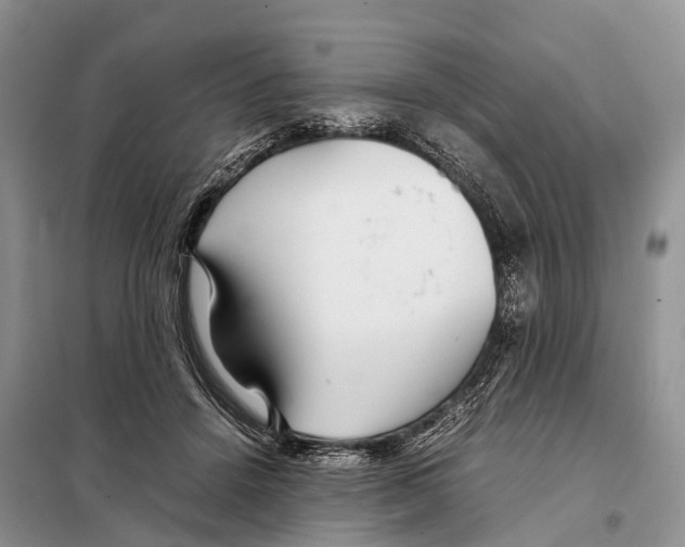 X0000097900456200804111049