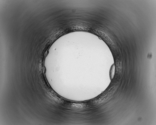 X0000097900457200804111049